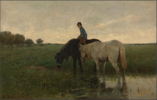 Mauve Watering Horses1.jpg
